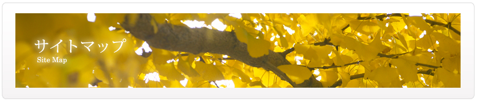 サイトマップ